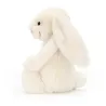 Bashful Lapin Ivoire Giant (really really big)